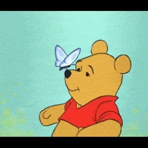 Meet your Posher, Ainsley